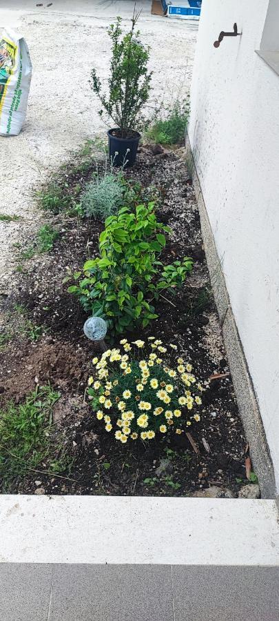 Apartman Duce Milka Villa Exterior foto